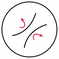 elastic